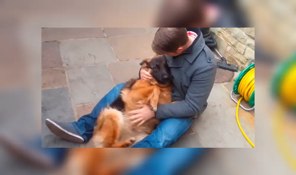 YouTube viral: perro se reencuentra con su dueño que lo cuidó de bebé y reacción del animal conmueve [VIDEO]