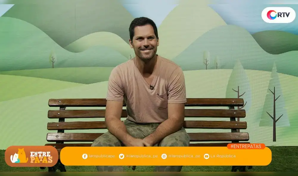 ¿Como preparar a tu mascota ante la llegada de un bebé? - Entre patas