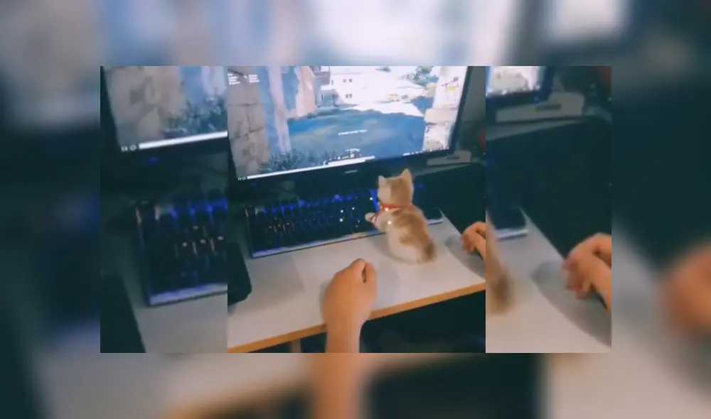 Desliza hacia la izquierda para ver más del video viral Desliza hacia la izquierda para ver más del video viral