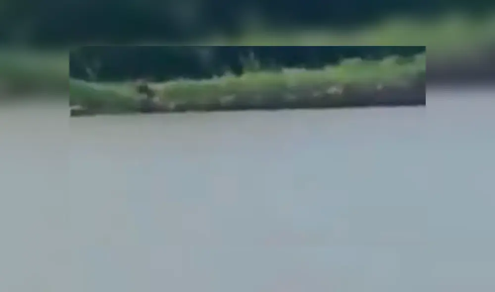 Video es viral en YouTube. Un hombre tranquilamente navegaba por un lago de Estados Unidos, cuando de pronto divisó una extraña criatura que ha generado todo tipo de teorías. Foto: Captura.