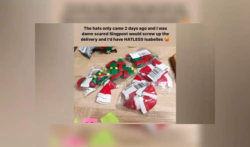 "Los sombreros llegaron hace dos dias y me asusté porque no llegaran. Hubiera tenido amiibos sin sombrero de Navidad".