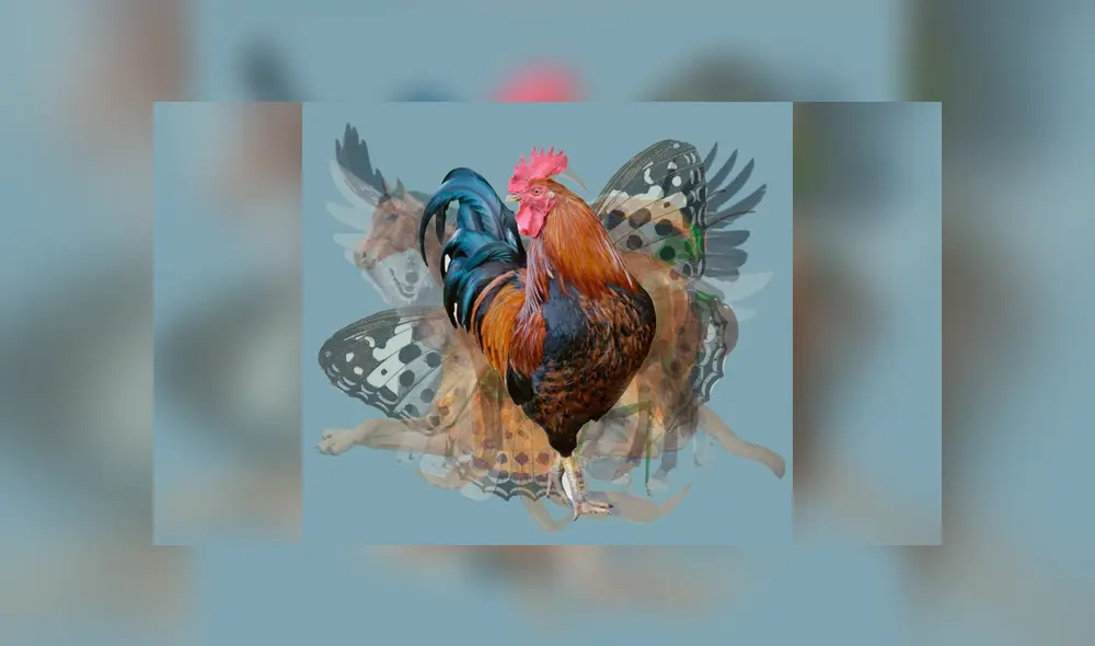 Desliza la imagen de Facebook para verlas todas. Desliza la imagen de Facebook para verlas todas.