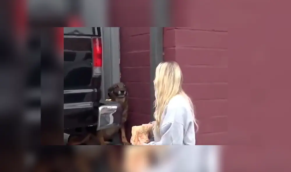 Desliza hacia la izquierda para ver el conmovedor rescate del video viral de Facebook.