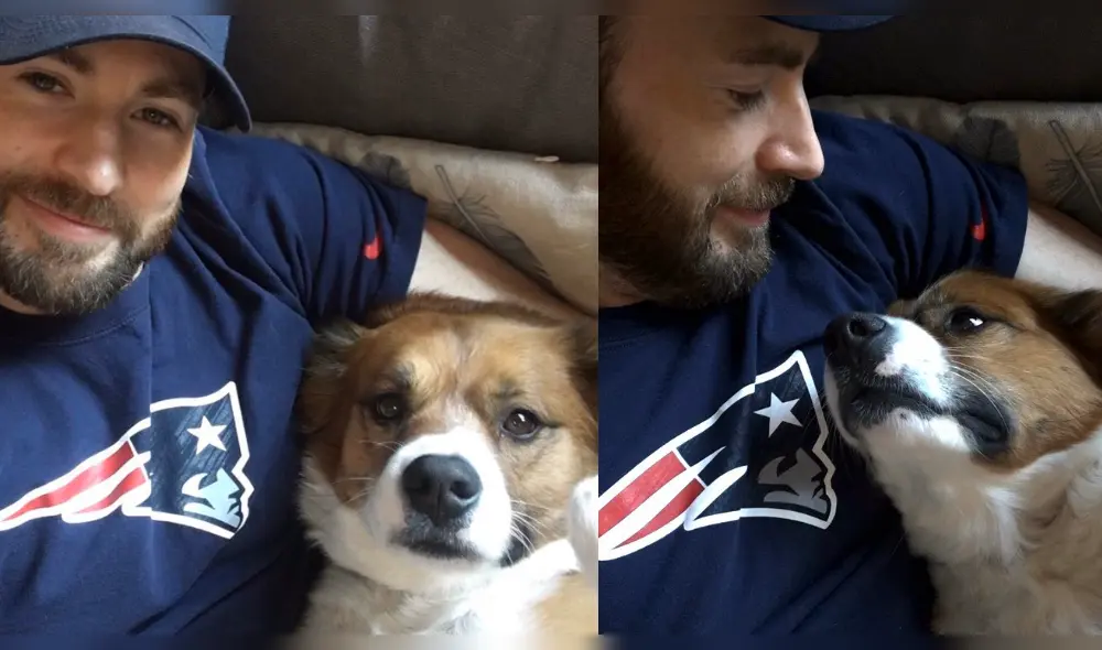 Chris Evans quiso realizar una nueva actividad con su mascota Dodger pero terminó arruinando el pelaje del can. (Foto: Difusión) Chris Evans quiso realizar una nueva actividad con su mascota Dodger pero terminó arruinando el pelaje del can. (Foto: Difusión)