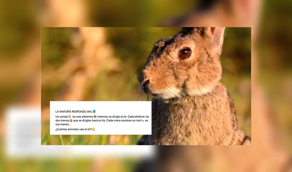 Acertijo "un concejo vio seis elefantes" paralizó las redes sociales en México. Acertijo "un concejo vio seis elefantes" paralizó las redes sociales en México.