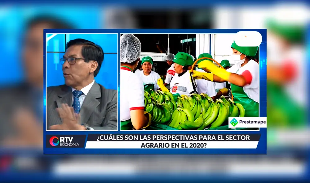 RTV Economía Agroexportaciones RTV Economía Agroexportaciones