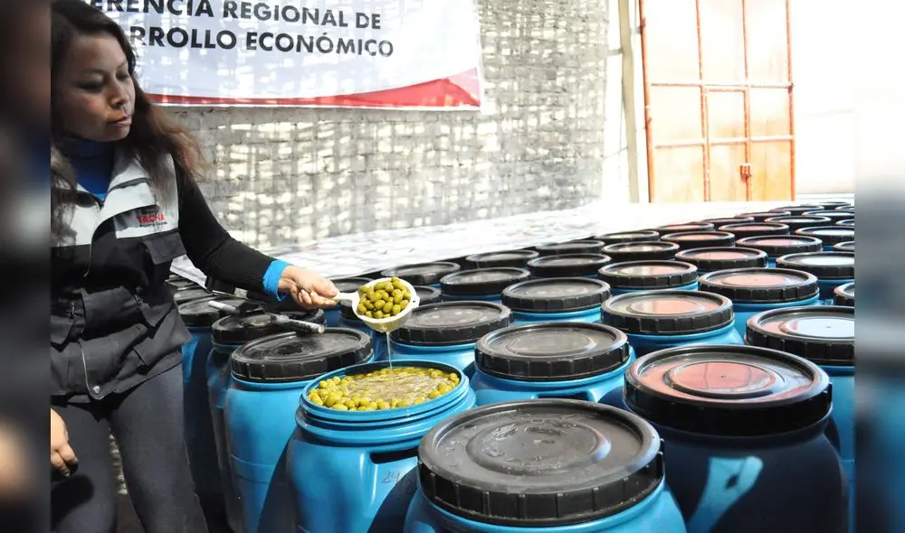 La aceituna es uno de los productos que más se envió al mercado exterior desde Tacna. Foto: Archivo La República