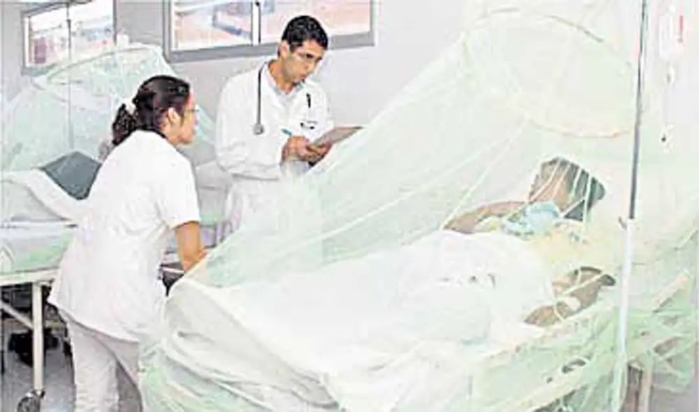 Según las autoridades ya son más de cuatro mil casos de dengue en la región. Según las autoridades ya son más de cuatro mil casos de dengue en la región.