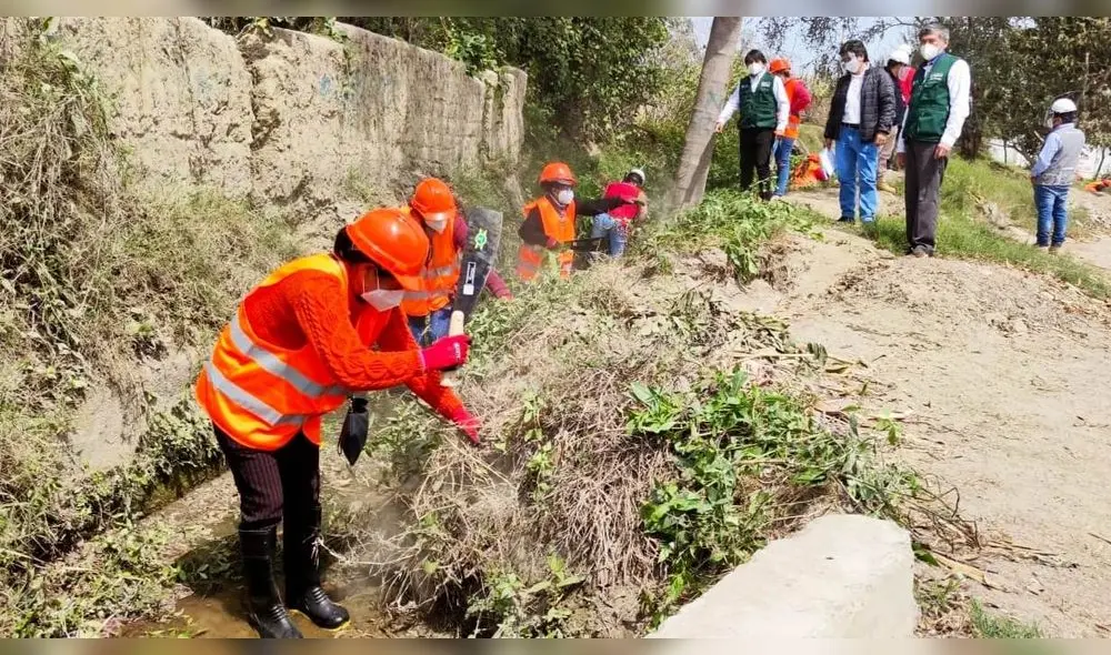 Mujeres líderes trabajarán en mantenimiento de canales de riego y drenes en La Libertad. Prensa Ana. Mujeres líderes trabajarán en mantenimiento de canales de riego y drenes en La Libertad. Prensa Ana.