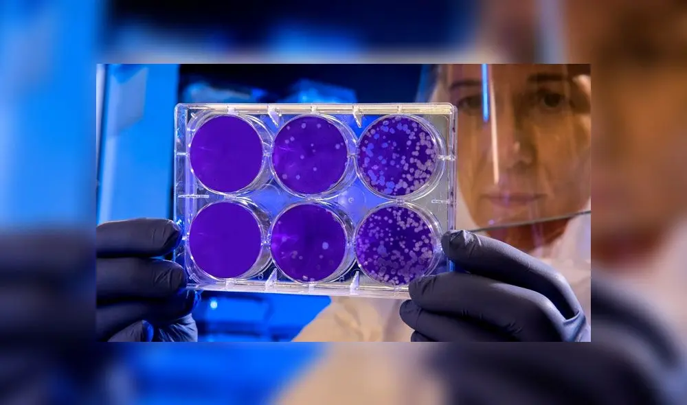 Científicos descubren el origen de la metástasis y están más cerca de la cura contra el cáncer