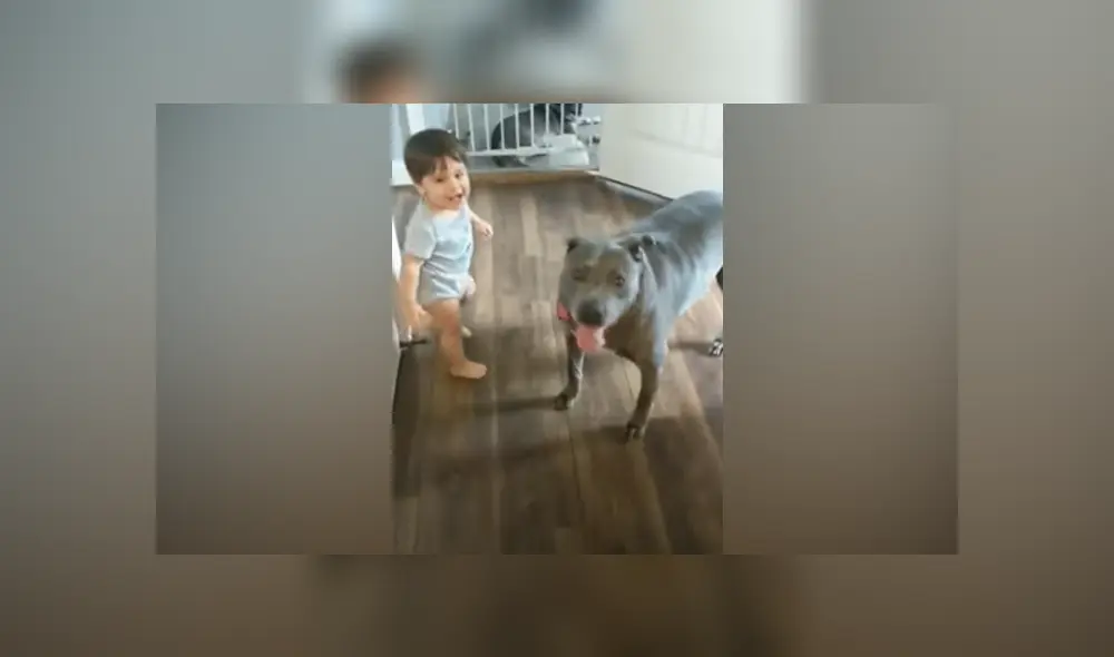 Desliza hacia la izquierda para ver las imágenes del viral de Facebook. Foto: Captura. Desliza hacia la izquierda para ver las imágenes del viral de Facebook. Foto: Captura.