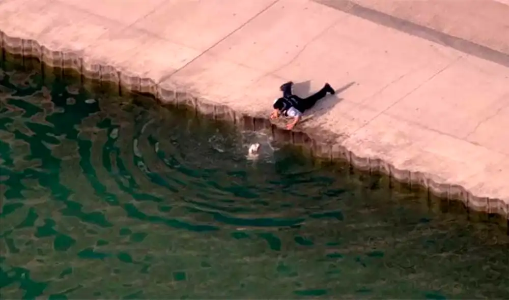 Facebook viral: policía rescata a perro de morir ahogado en un lago en ...