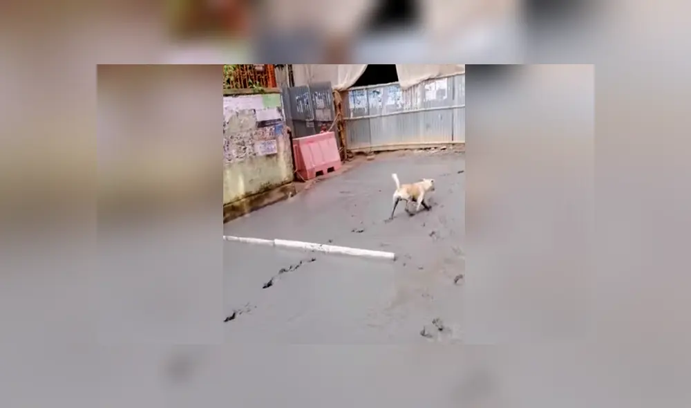 Desliza para ver los momentos más divertidos del video que se hizo viral en Facebook. Desliza para ver los momentos más divertidos del video que se hizo viral en Facebook.
