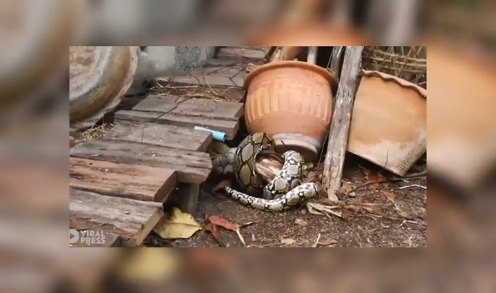 Desliza para ver los detalles del video viral publicado en YouTube. Foto: Captura. Desliza para ver los detalles del video viral publicado en YouTube. Foto: Captura.