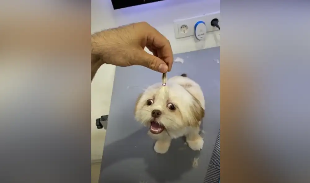 Desliza hacia la izquierda para ver las imágenes del video viral. Foto: captura de Facebook. Desliza hacia la izquierda para ver las imágenes del video viral. Foto: captura de Facebook.