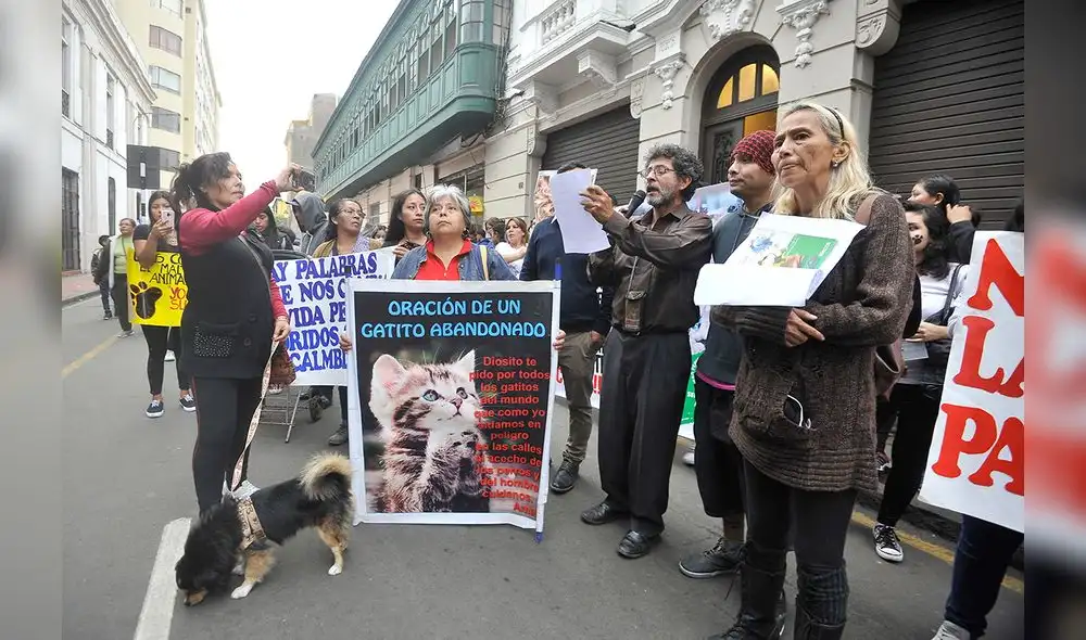 Grupo de animalistas busca concientizar sobre el maltrato animal [FOTOS]