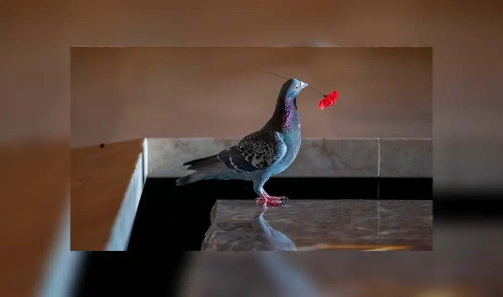 Desliza para ver todas las imágenes de Facebook. Foto: captura.