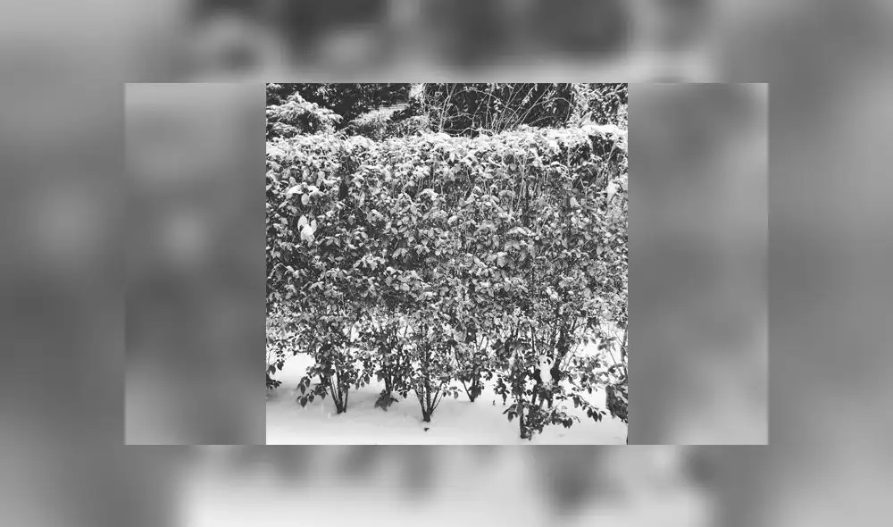 Desliza las fotografías para ver la solución de este nuevo reto visual que casi nadie puede superar. Foto: Dudolf.com