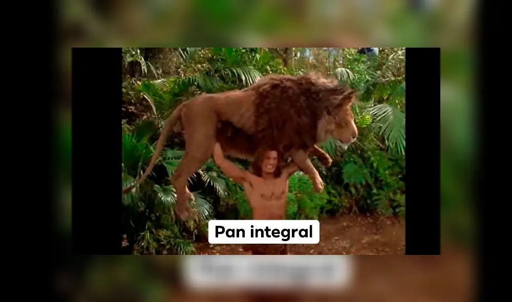 Bárbara de Regil genera burlas en redes sociales por recomendar pan integral para la cuarentena Bárbara de Regil genera burlas en redes sociales por recomendar pan integral para la cuarentena