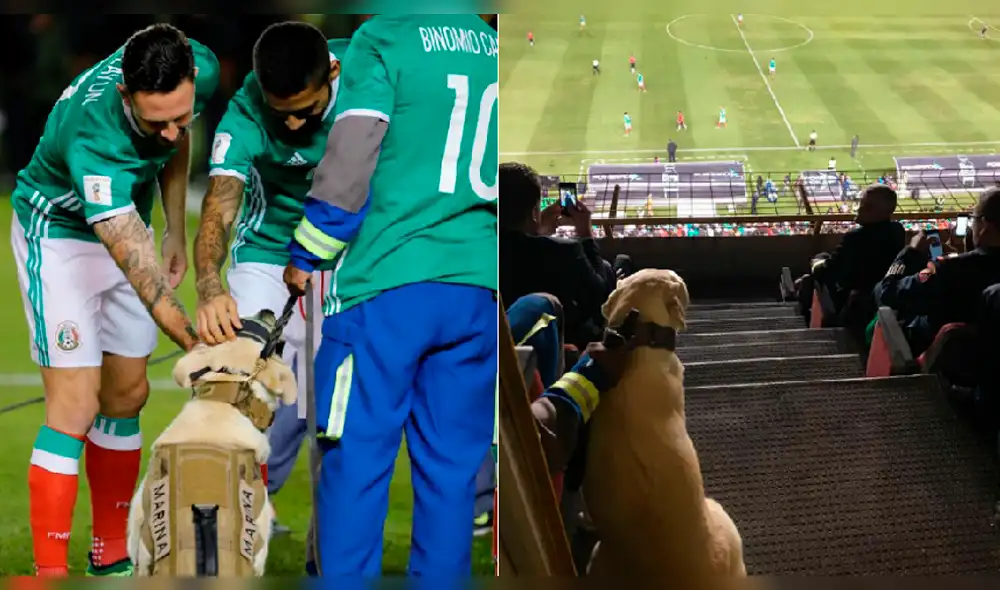 Selección mexicana hizo un emotivo homenaje a Frida, la perra rescatista tras el terremoto en México [VIDEO]