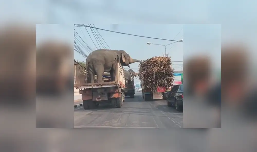 Desliza para ver los detalles del video viral de YouTube. Foto: Captura. Desliza para ver los detalles del video viral de YouTube. Foto: Captura.