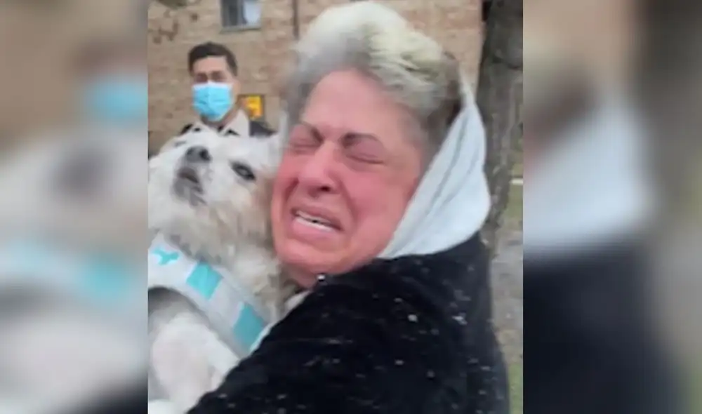 Desliza las imágenes para conocer más detalles sobre este emotivo reencuentro que emocionó a miles de usuarios. Foto: captura de YouTube