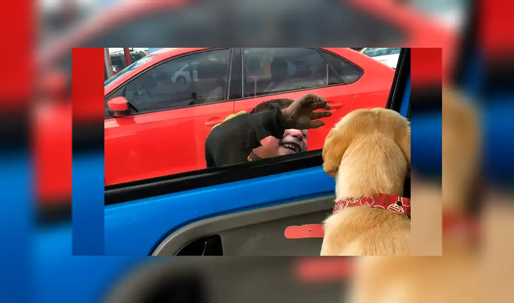Facebook: perro rescatado y 'niño payasito' protagonizan tiernas imágenes que se volvieron virales Facebook: perro rescatado y 'niño payasito' protagonizan tiernas imágenes que se volvieron virales