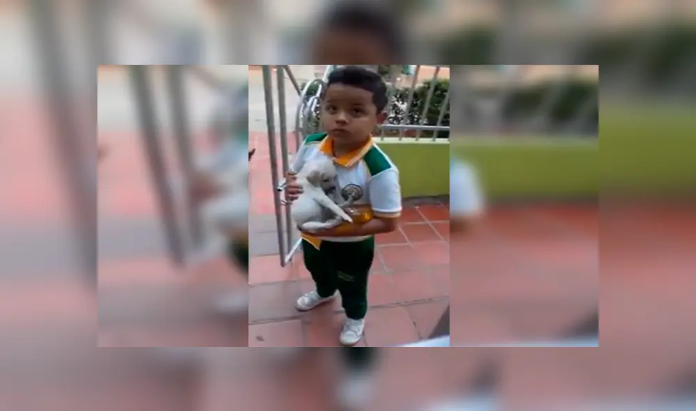 En Facebook, una señora mandó a su hijo a comprar a la tienda y él regresó con un indefenso cachorro.