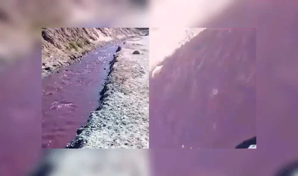 Las imágenes del hecho fueron compartidas en Whatsapp y redes sociales. Fuente: captura de pantalla. Las imágenes del hecho fueron compartidas en Whatsapp y redes sociales. Fuente: captura de pantalla.