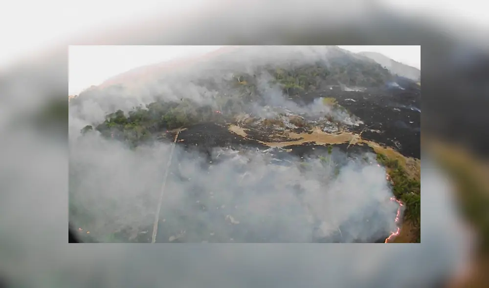 Incendio destruye flora y fauna