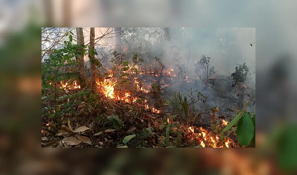 Bolívar, equipo que disputa la Primera División del fútbol boliviano, hará una importante donación para controlador el incendio en el Amazonas.