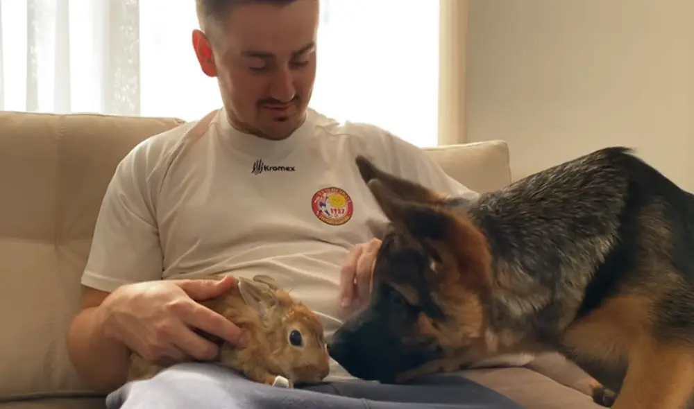 Desliza hacia la izquierda para ver las imágenes del video viral. Foto: Captura de YouTube.