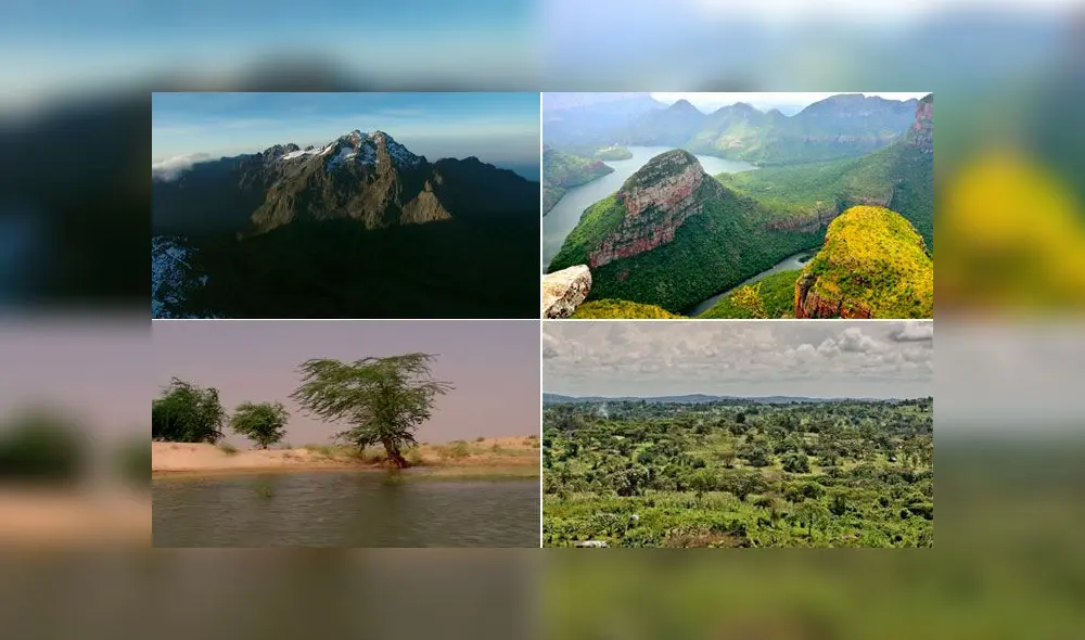 El estudio ubicó cuatro linajes ancestrales del humano que provienen de diversas partes de África (este, oeste, centro y Sudáfrica). Fotos: Difusión.