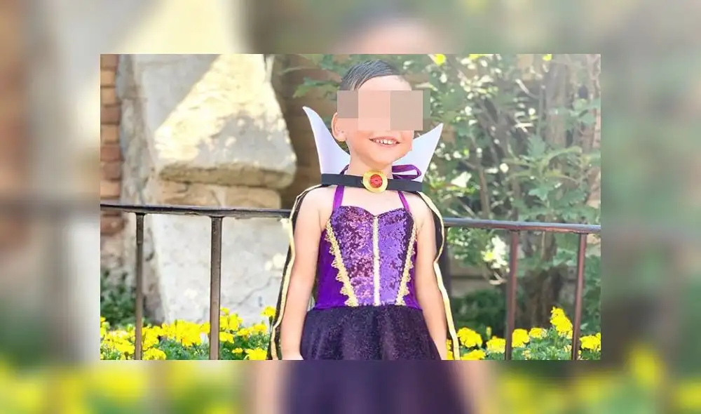 La mamá de un niño de 4 años hizo realidad su deseo y lo ‘convirtió’ en sus princesas favoritas de Disney. Foto: Instagram.