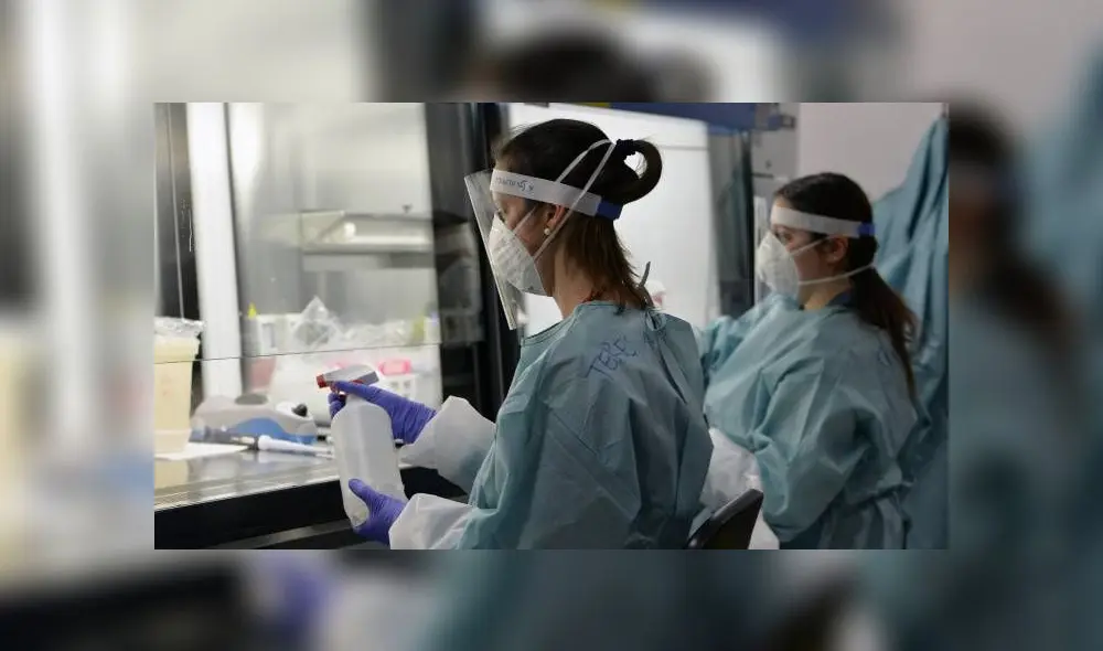 Los especialistas australianos indicaron que el estudio de la ivermectina puede ayudar a encontrar la cura para el coronavirus.