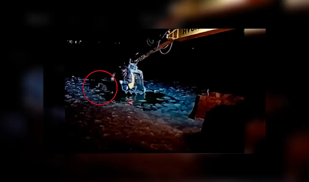 Video es viral en YouTube. Trabajadores dejaron sus actividades a mitad de la noche para auxiliar a un can que ladraba atascado en aguas congeladas Video es viral en YouTube. Trabajadores dejaron sus actividades a mitad de la noche para auxiliar a un can que ladraba atascado en aguas congeladas