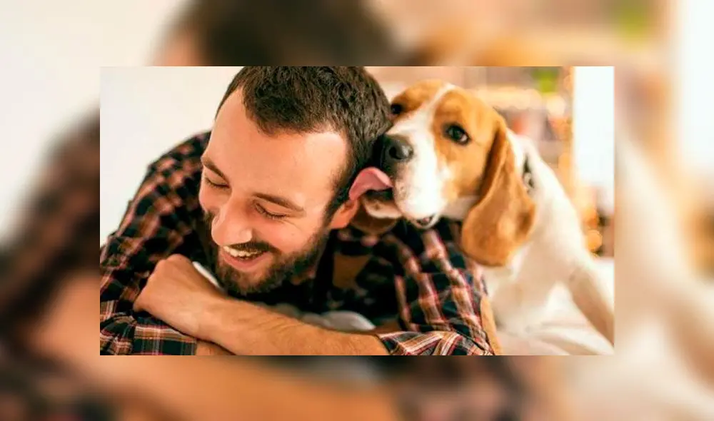 Tener un perro te ayuda a vivir mejor y por más años, revela estudio [VIDEO]