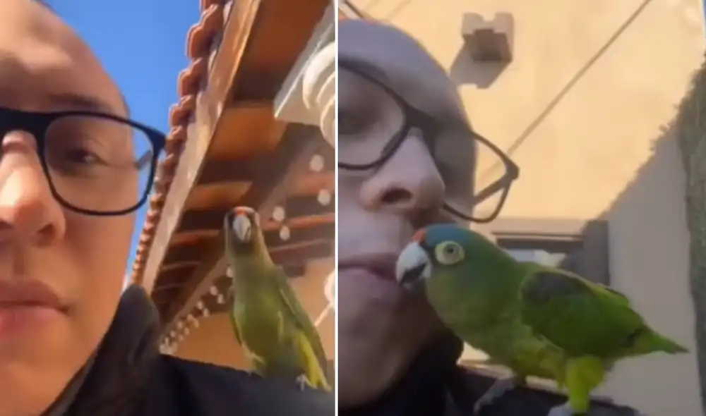 Miles de usuarios han quedado cautivados al ver este tierno video. Foto: composición LR/TikTok/@_currogram Miles de usuarios han quedado cautivados al ver este tierno video. Foto: composición LR/TikTok/@_currogram