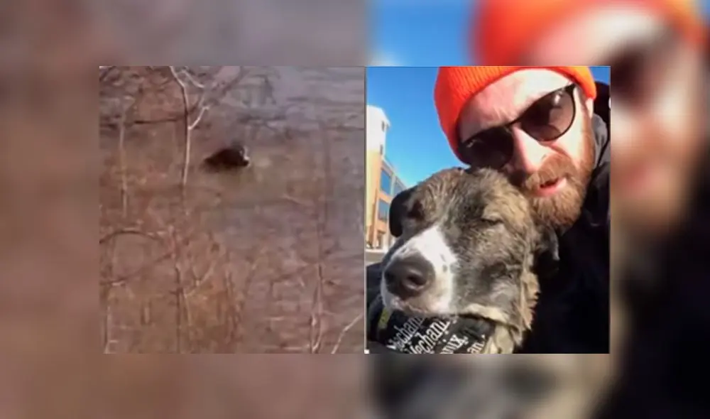 Joven rescata a cachorro de rio helado.
