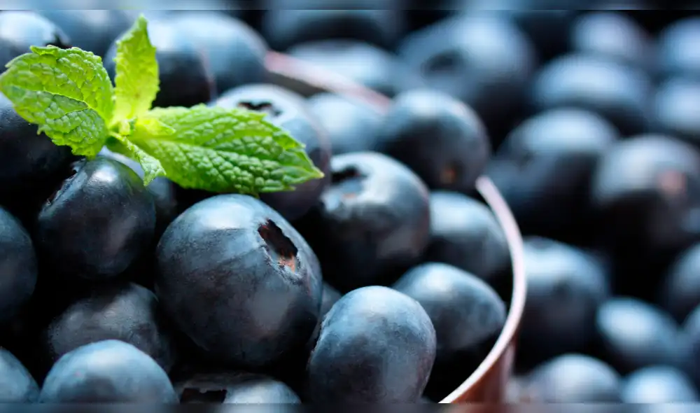 Perú exportará arándanos a Taiwán 