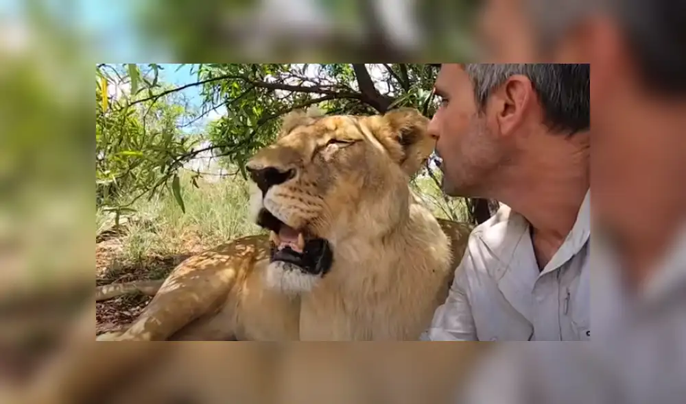 Desliza hacia la izquierda para ver las imágenes del viral de Facebook. Foto:
The Lion Whisperer. Desliza hacia la izquierda para ver las imágenes del viral de Facebook. Foto:
The Lion Whisperer.