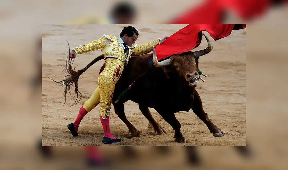 Iván Fandiño: tuit de periodista sobre la muerte del torero provocó hasta insultos