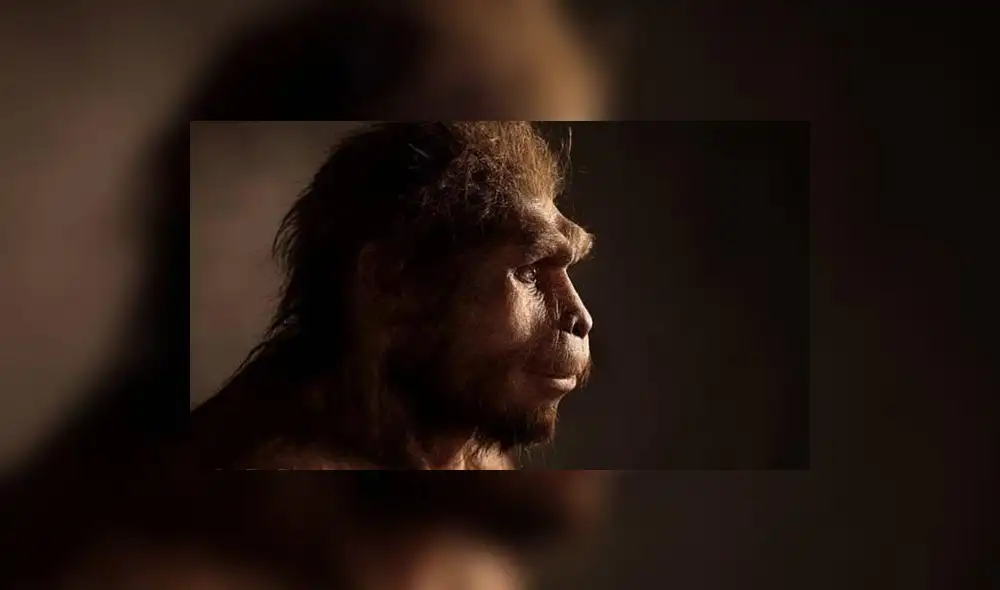 Homo Sapiens. Foto: E. Daynes.