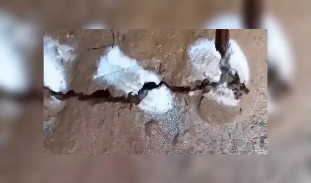 Facebook viral: joven aterrado tras ver a extrañas criaturas salir de un suelo [VIDEO] 