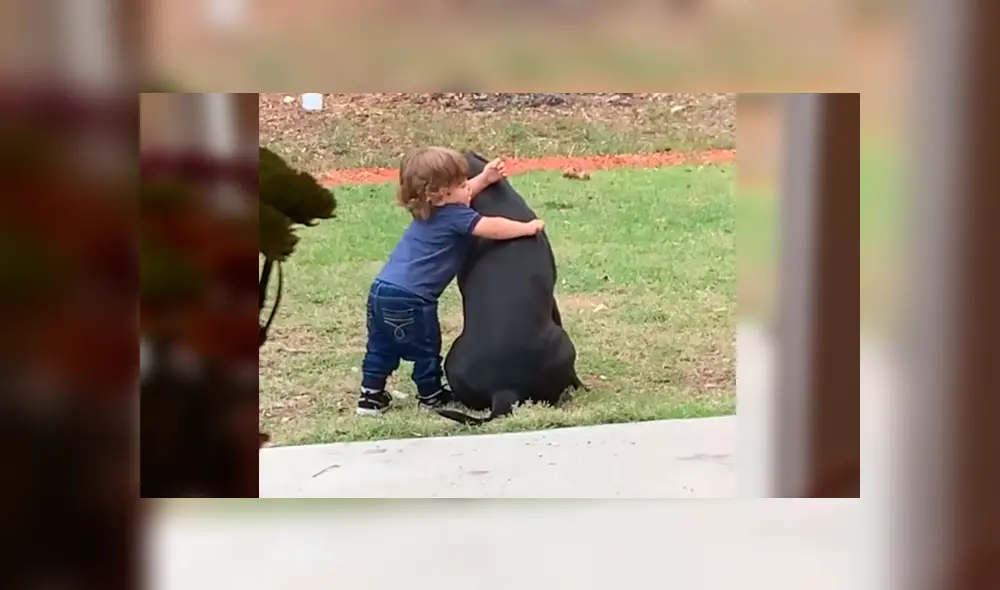 En Facebook, un pequeño se acercó a su mascota para darle un emotivo abrazo y fue descubierto por su madre. En Facebook, un pequeño se acercó a su mascota para darle un emotivo abrazo y fue descubierto por su madre.