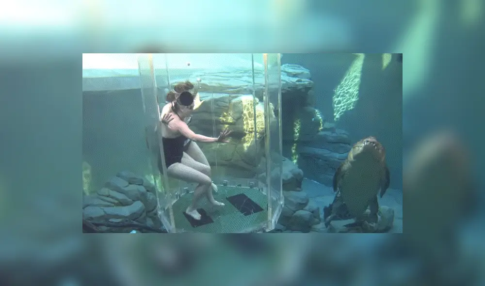 YouTube viral: chicas se sumergen en santuario de enorme cocodrilo y quedan horrorizadas 