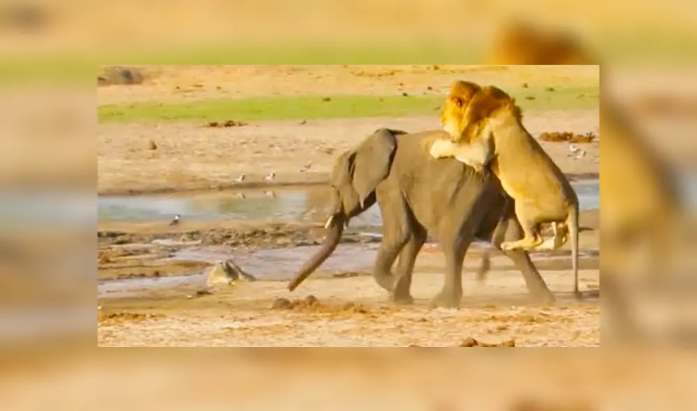 Desliza para ver el final de este video viral de YouTube. Foto: Captura.