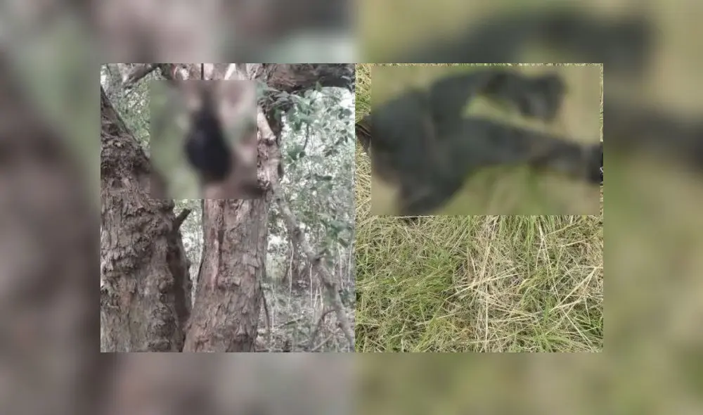 El misterio aún ronda sobre la causa de muerte de Leonardo Javier Nocetti, de 35 años. Foto: Crónica.