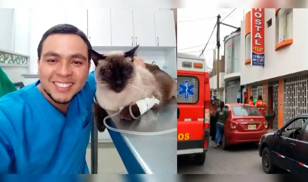 Hallan muerto en hotel a veterinario reportado como desaparecido en Arequipa Hallan muerto en hotel a veterinario reportado como desaparecido en Arequipa