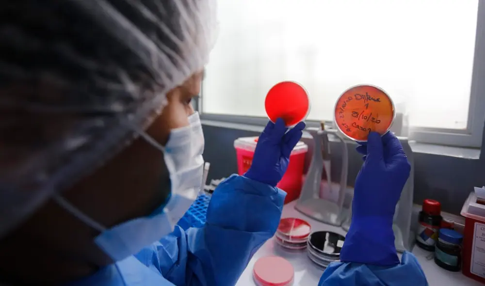 INS muestra el trabajo que realiza para el diagnóstico de muestras de Difteria en el país. Fotos: Flavio Matos INS muestra el trabajo que realiza para el diagnóstico de muestras de Difteria en el país. Fotos: Flavio Matos